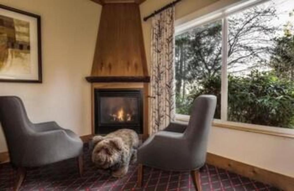 The Edgewater, A Noble House Hotel Seattle Eksteriør billede